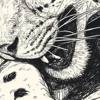 Thumbnail of Радд