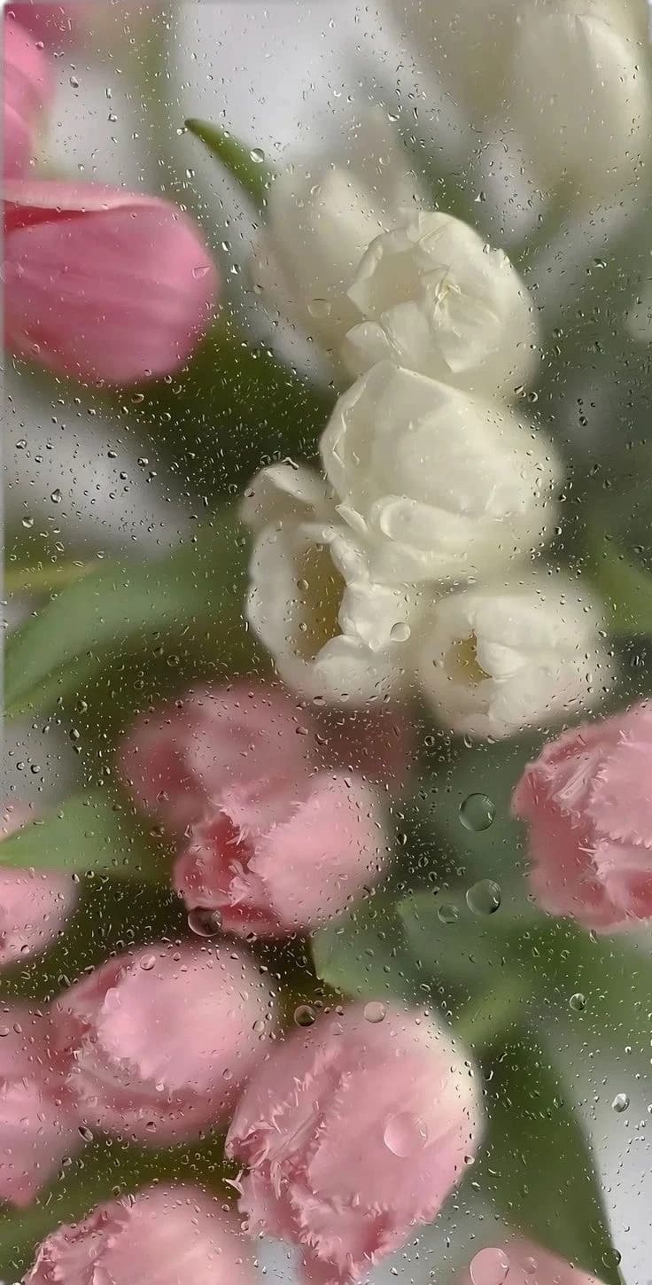 Thumbnail of Желаемая жизнь
