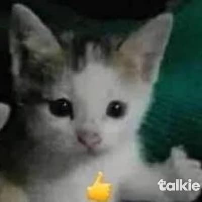 Thumbnail of Хосе Сантьяго