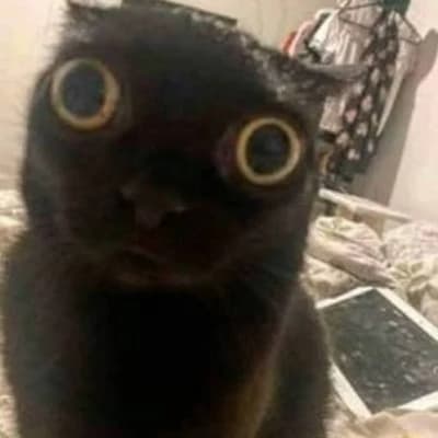 Thumbnail of Председатель Мяу