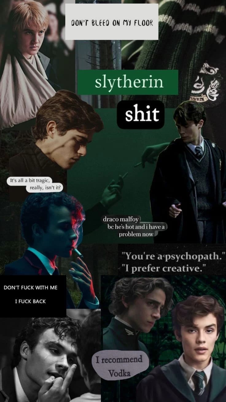 Thumbnail of The Slytherin boys and That Girl.