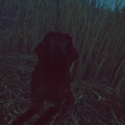 Thumbnail of Kaelen, Survivor of the Cursed Isle