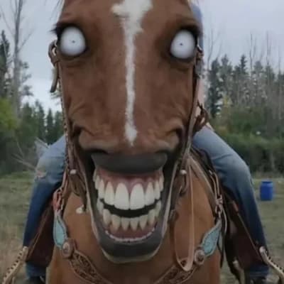Thumbnail of Лошадь Хапой