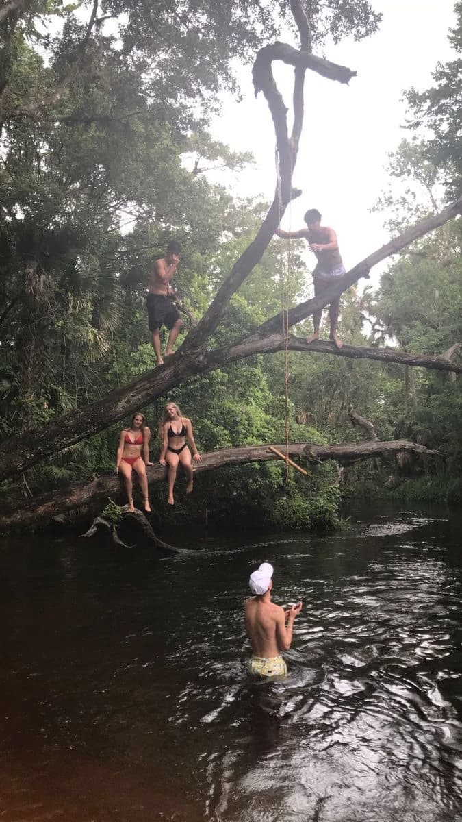 Thumbnail of Group of friends | in florest.
