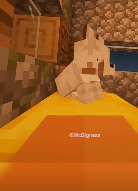 Thumbnail of Lobito de Minecraft