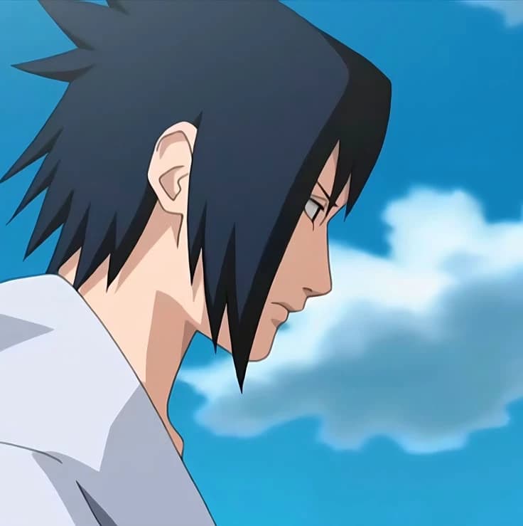 Thumbnail of SASUKE