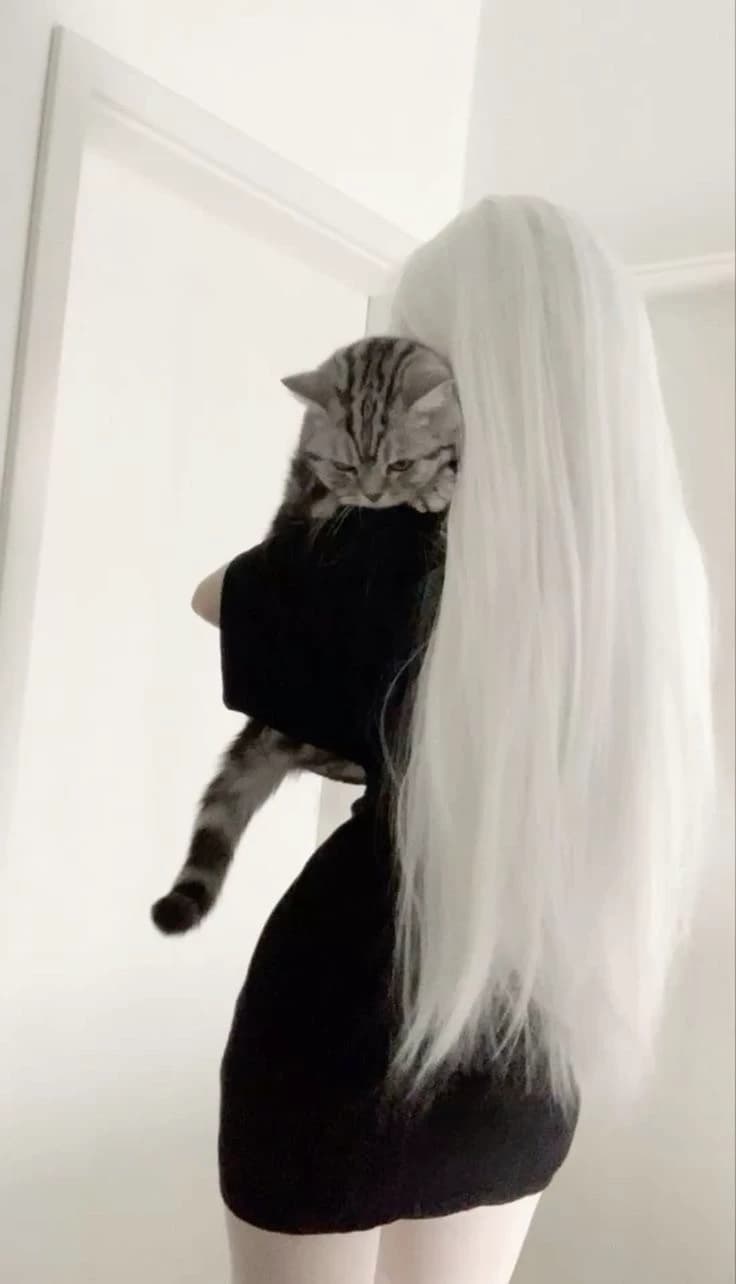 Thumbnail of Syen | Omega | Puma | Female
