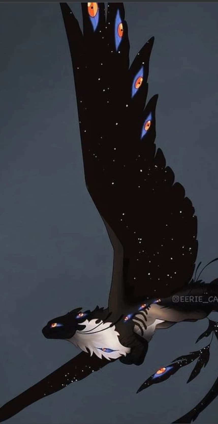 Thumbnail of Black