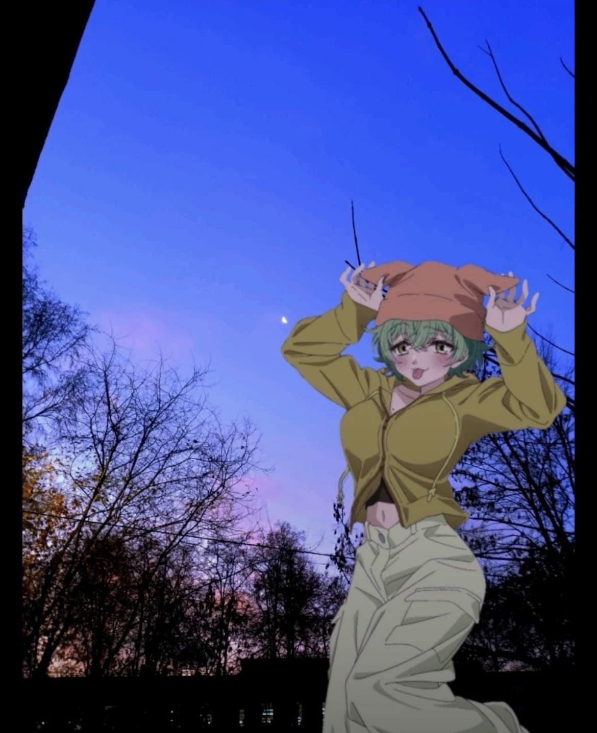 Thumbnail of Мива