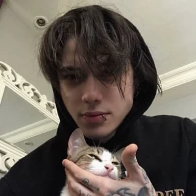 Thumbnail of Айден