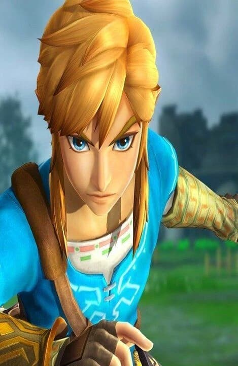 Thumbnail of ♡Link♡