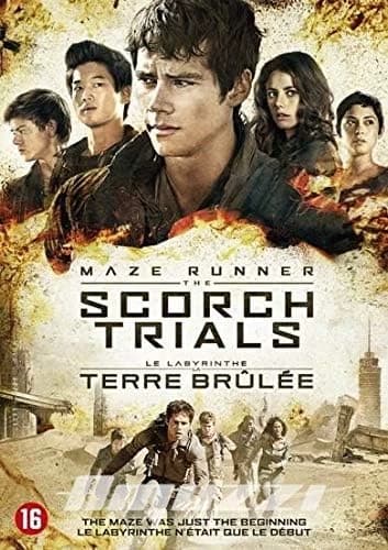Thumbnail of Vous les sauver... THE MAZE RUNNER - THE SCORCH