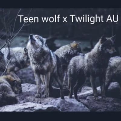 Thumbnail of Teen Wolf x Twilight AU