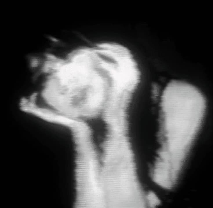 Thumbnail of Dmitry