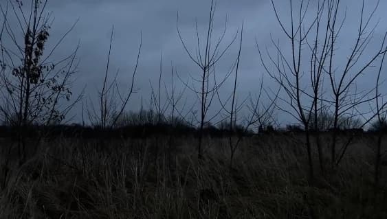 Thumbnail of Встреча