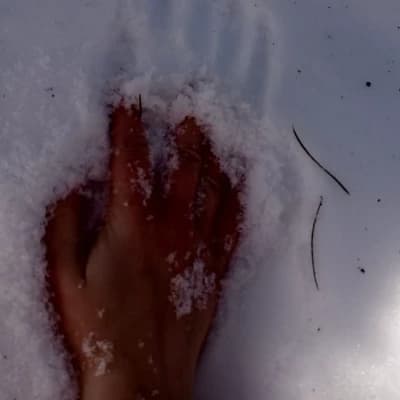 Thumbnail of Люк