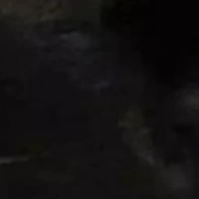 Thumbnail of Элара
