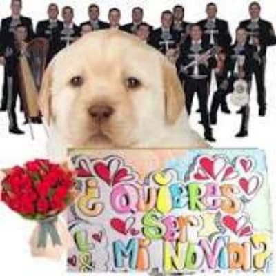Thumbnail of Your friend with the cardboard 'juanito'