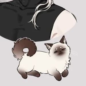 Thumbnail of Лео, Сайлас и Джейк