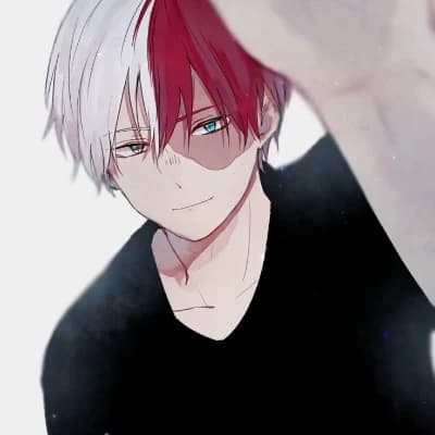 Thumbnail of Shoto Todoroki (her boyfriend)