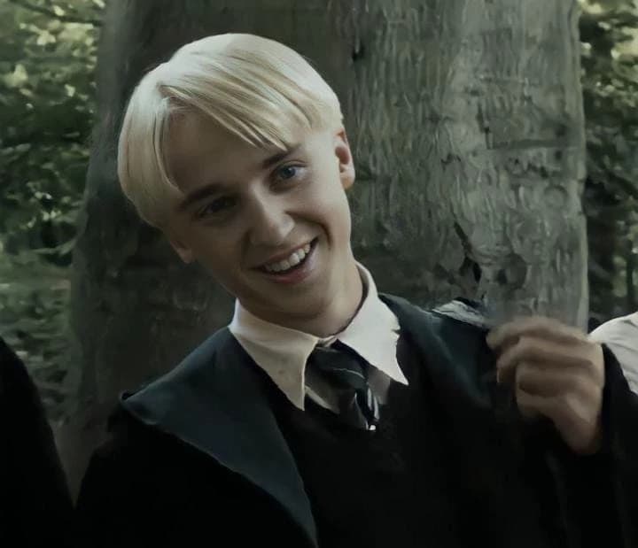 Thumbnail of 🐍🍏 Draco Malfoy 🍏🐍