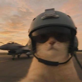 Thumbnail of Кот-пилот