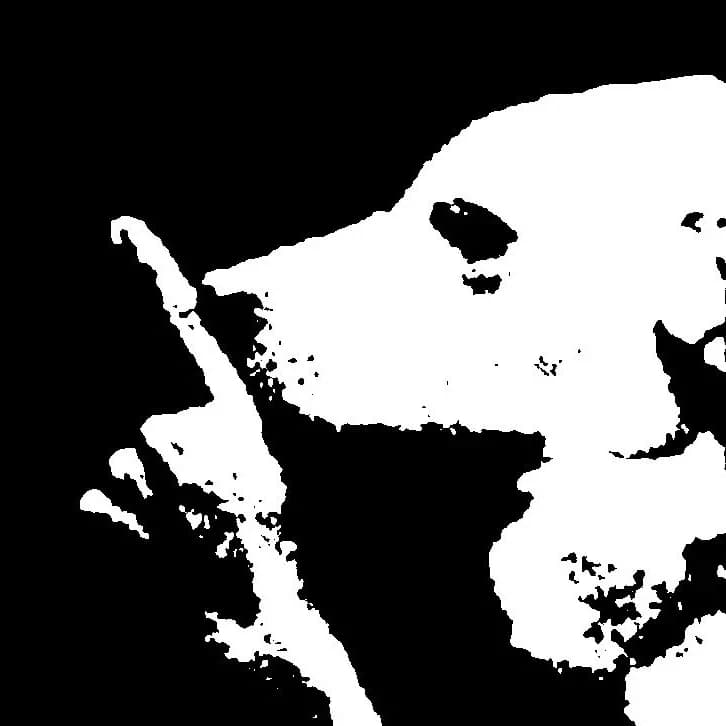 Thumbnail of Певческая жизнь