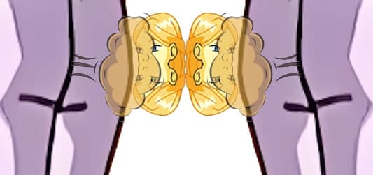 Thumbnail of Cornelia's Head Fraction with Cornelia's Butt Passing Gas