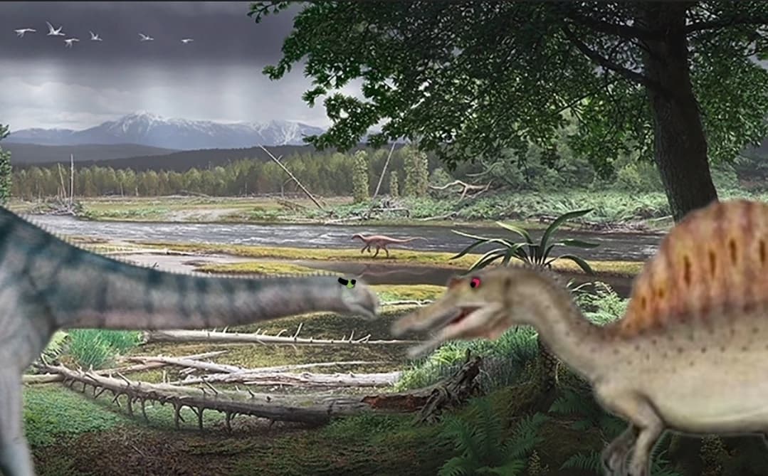 Thumbnail of Лонга х окса