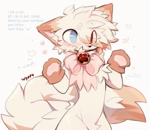Thumbnail of Your furry friend had a good day