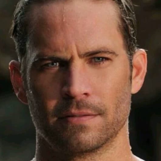 Thumbnail of Brian O'Conner (The Fast and the Furious)
