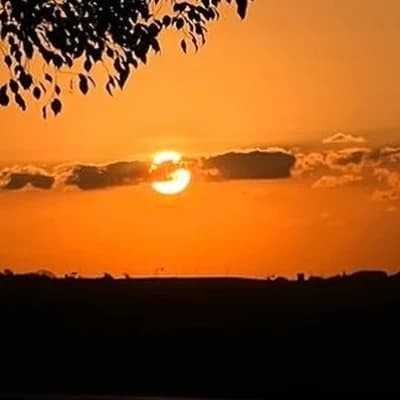 Thumbnail of Волк