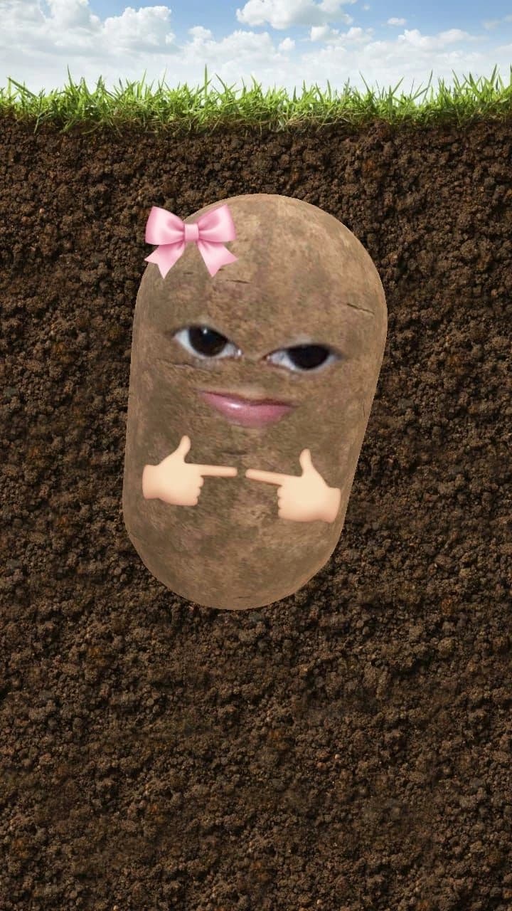 Thumbnail of Картошка