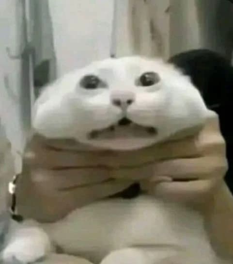 Thumbnail of Кот