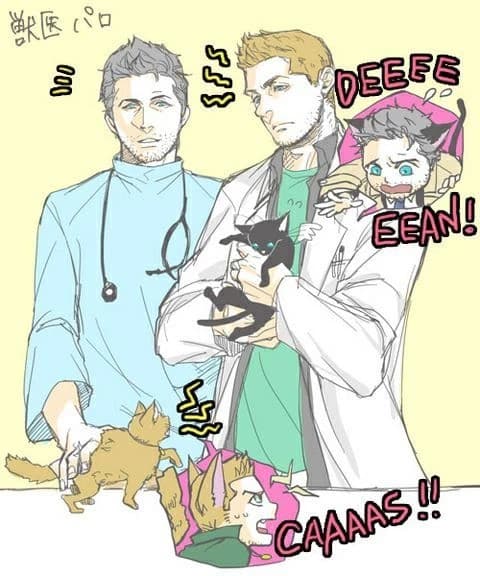 Thumbnail of Veterinarian