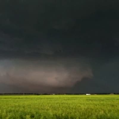 Thumbnail of Торнадо Эль-Рино (Mỹ, 2013 г.)