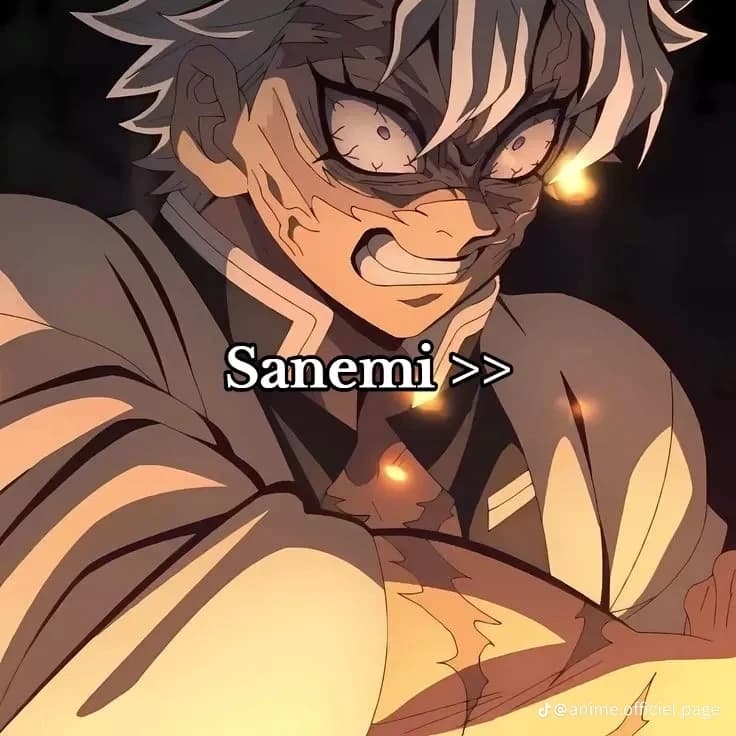Thumbnail of SANEMI Shinasuwaga