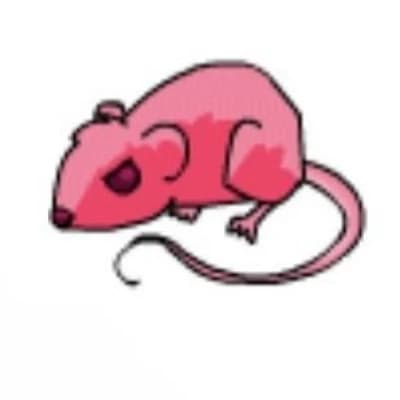 Thumbnail of King Gummy, The Grand Rat