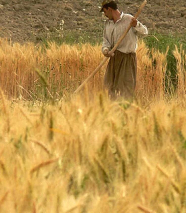 Thumbnail of Элиан