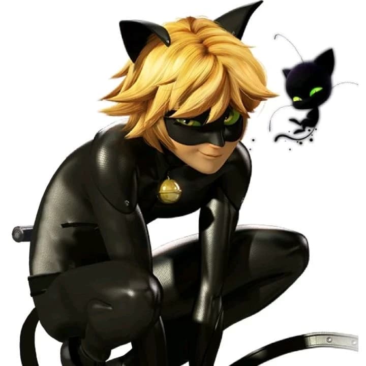 Thumbnail of Кот Нуар