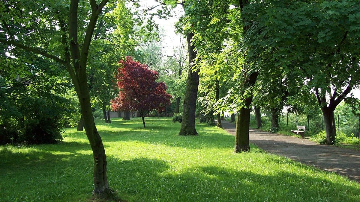 Thumbnail of Мир