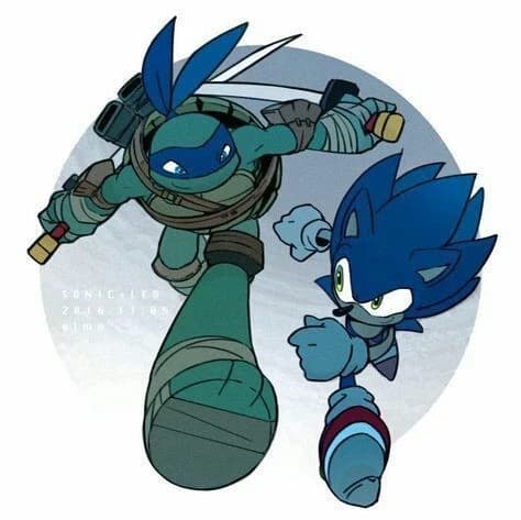 Thumbnail of Teenage Mutant Ninja Turtles and Sonic