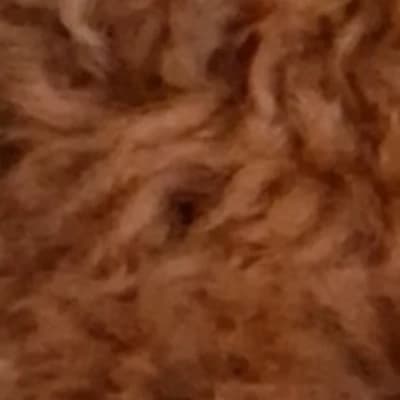 Thumbnail of Муж Джин