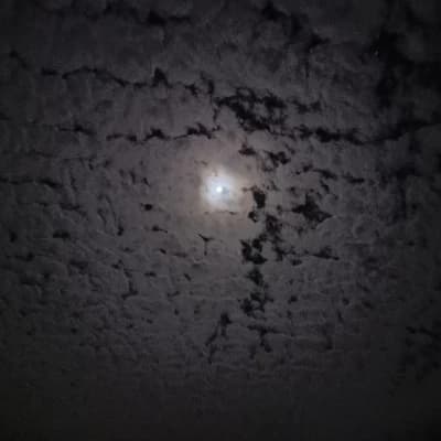 Thumbnail of Хомс