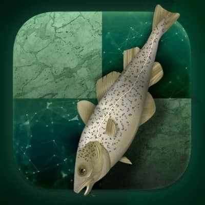 Thumbnail of Stockflsh 1