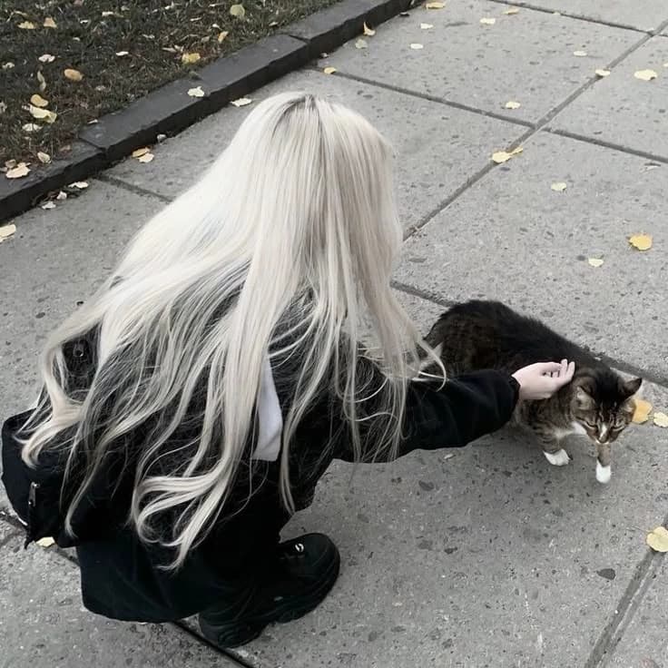 Thumbnail of Шайна ДеЛука
