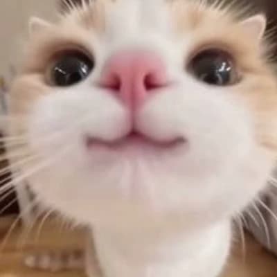 Thumbnail of Маффин