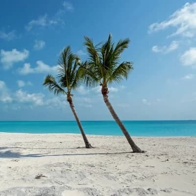 Thumbnail of Luxusresort "Только натуризм"
