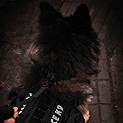 Thumbnail of Император