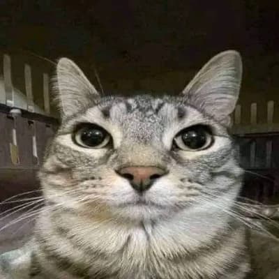 Thumbnail of Хуанчо